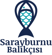 Sarayburnu balıkçısı
